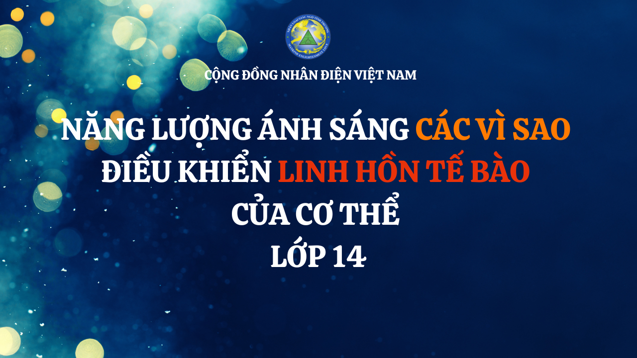 LỚP 14